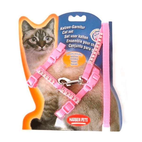 Arnes gato - conejo
