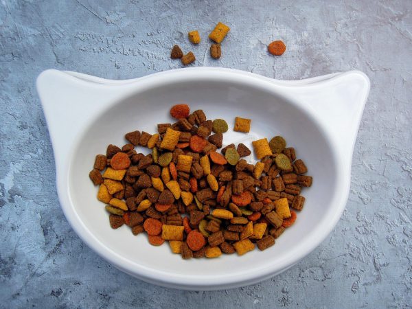 Brit vd cat gastrointestinal 2 kg