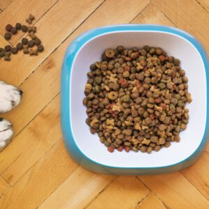 Alimento seco gato adulto salmón 7 kg