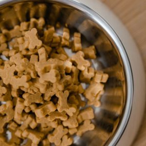 Alimento húmedo perro cordero x 12 latas